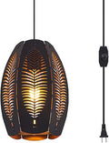 Farmhouse Hanging Pendant Light with 16.4 ft Plug-in Cord - Rustic