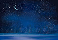 Winter Night Snowfall Snowflake Photography Backdrop - Starry Pine