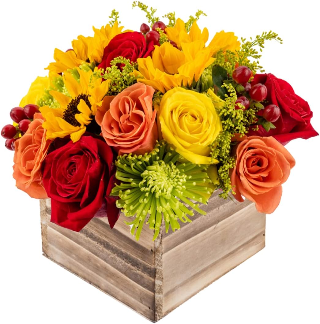 Warm Glow in Wooden Vase | Stunning Flower Arrangement Gift