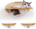 FUKUMARU Cat Wall Furniture Set - Transparent Capsule Shelves
