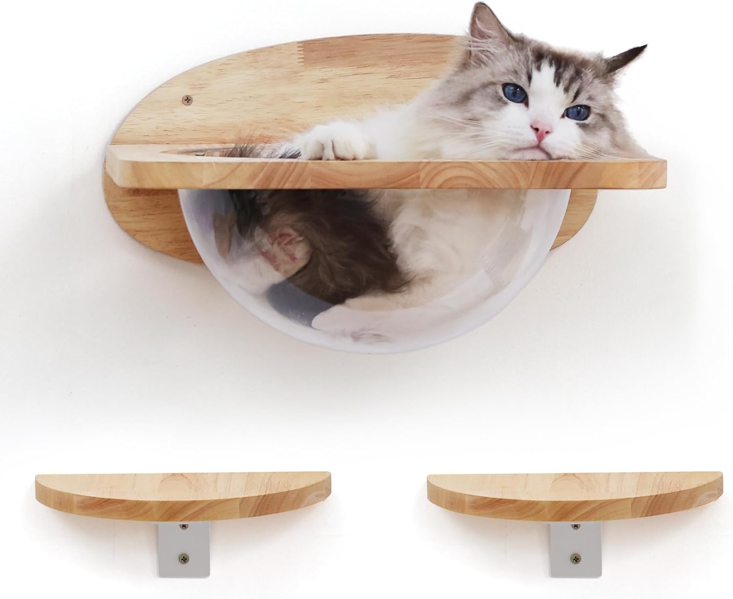 FUKUMARU Cat Wall Furniture Set for Climbing and Lounging