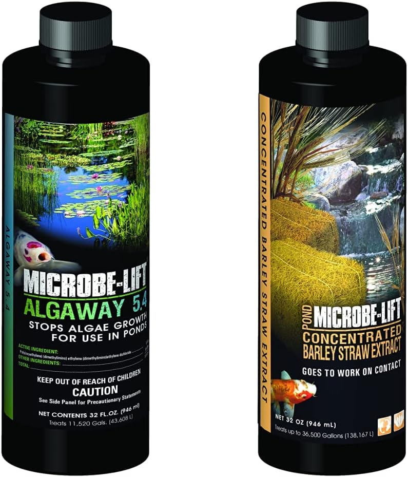 Effective Algae Control with MICROBE-LIFT ALGA32 and Barley Extract