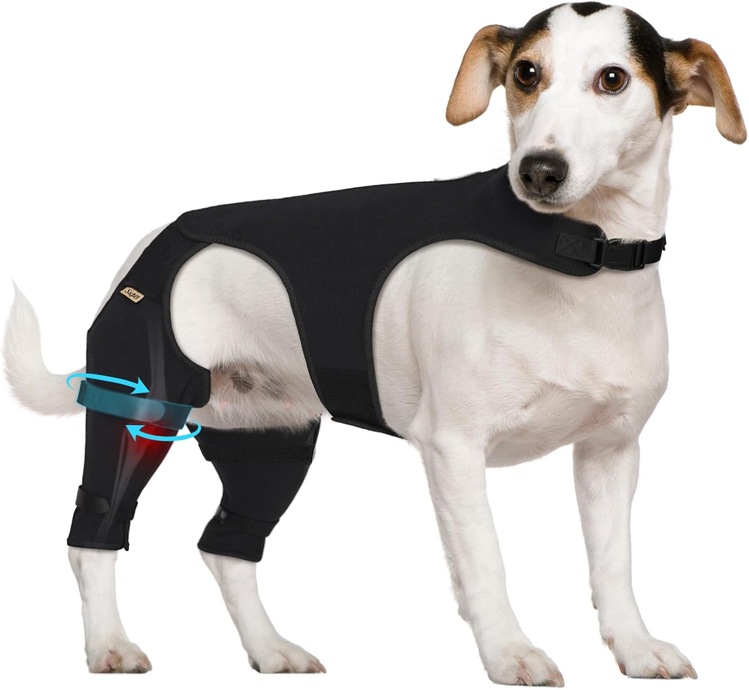Supet Dog Rear Leg Sleeve for Effective Lick Prevention