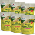 Medicated Chick Starter Grower Crumbles - 6-Pack, Healthy Growth