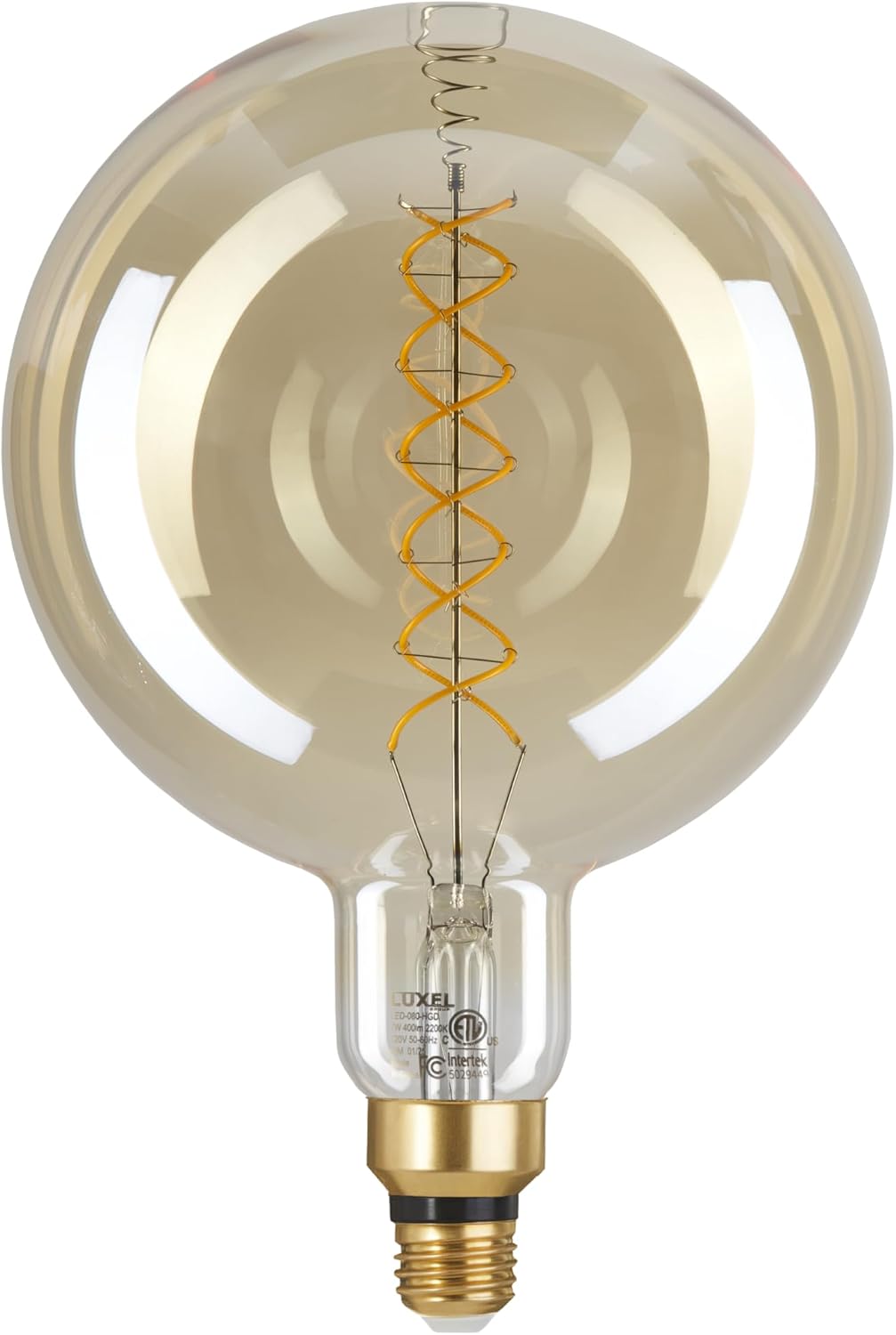 Oversized Edison LED Light Bulb G63 Huge Vintage Style 2200K