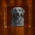 Personalized Pet 3D Engraved Crystal Keepsake XL Rectangle - Timeless