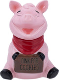 Dolomite Ceramic Everyday Cookie & Candy Jar - Airtight Farmhouse