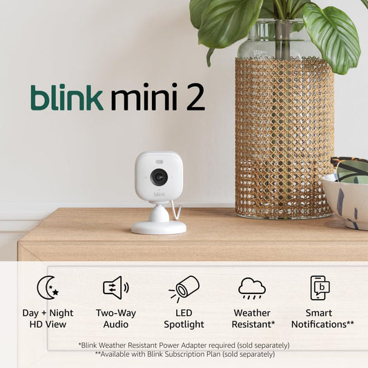 Blink Mini 2: HD Night Color, Built-in Spotlight