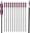 31 in Carbon Hunting Arrows Pack of 12 - Stable Target Practice Arrows