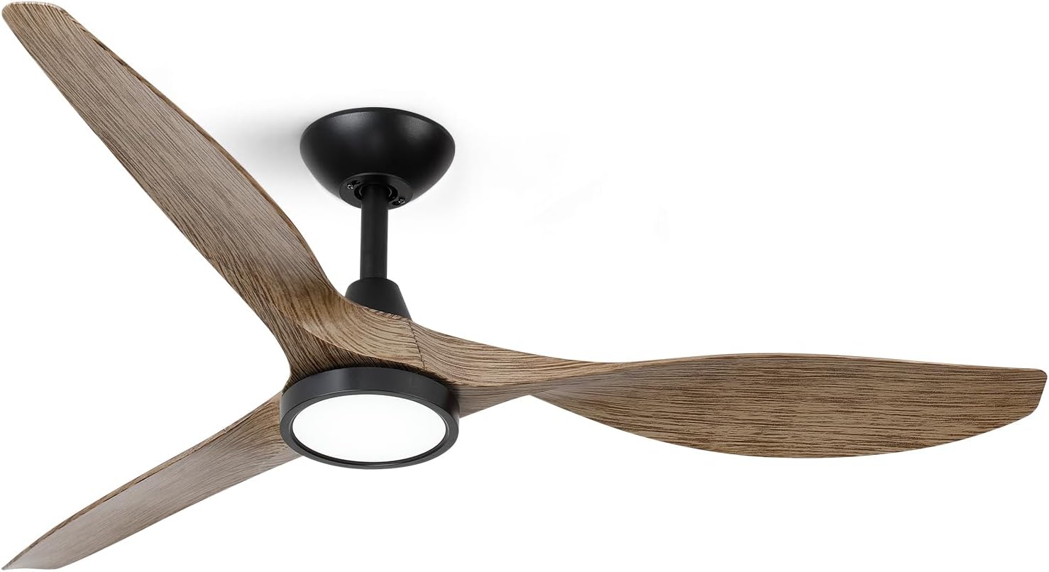 Roomratv 52 Inch Ceiling Fan with Lights for Any Space