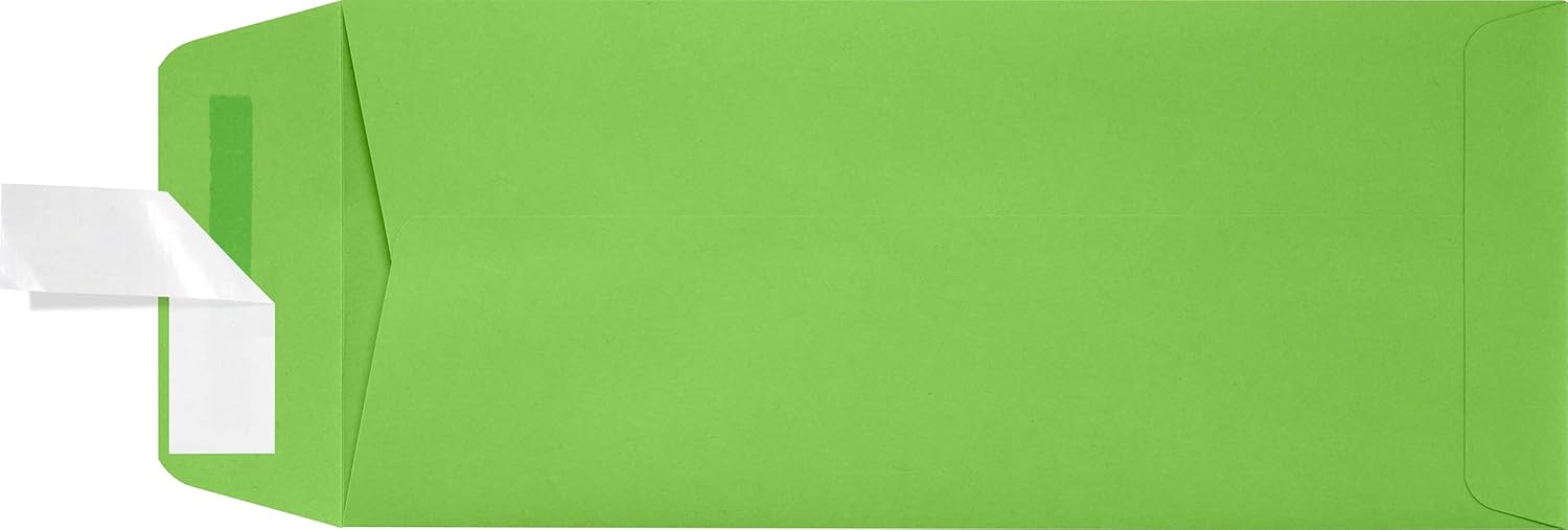 LUXPaper #10 Policy Business Envelopes for Stunning Presentations