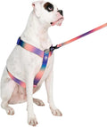 Spark Paws Large No-Pull Dog Harness - Heavy-Duty Control