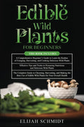 Edible Wild Plants for Beginners - Practical Guide to Foraging