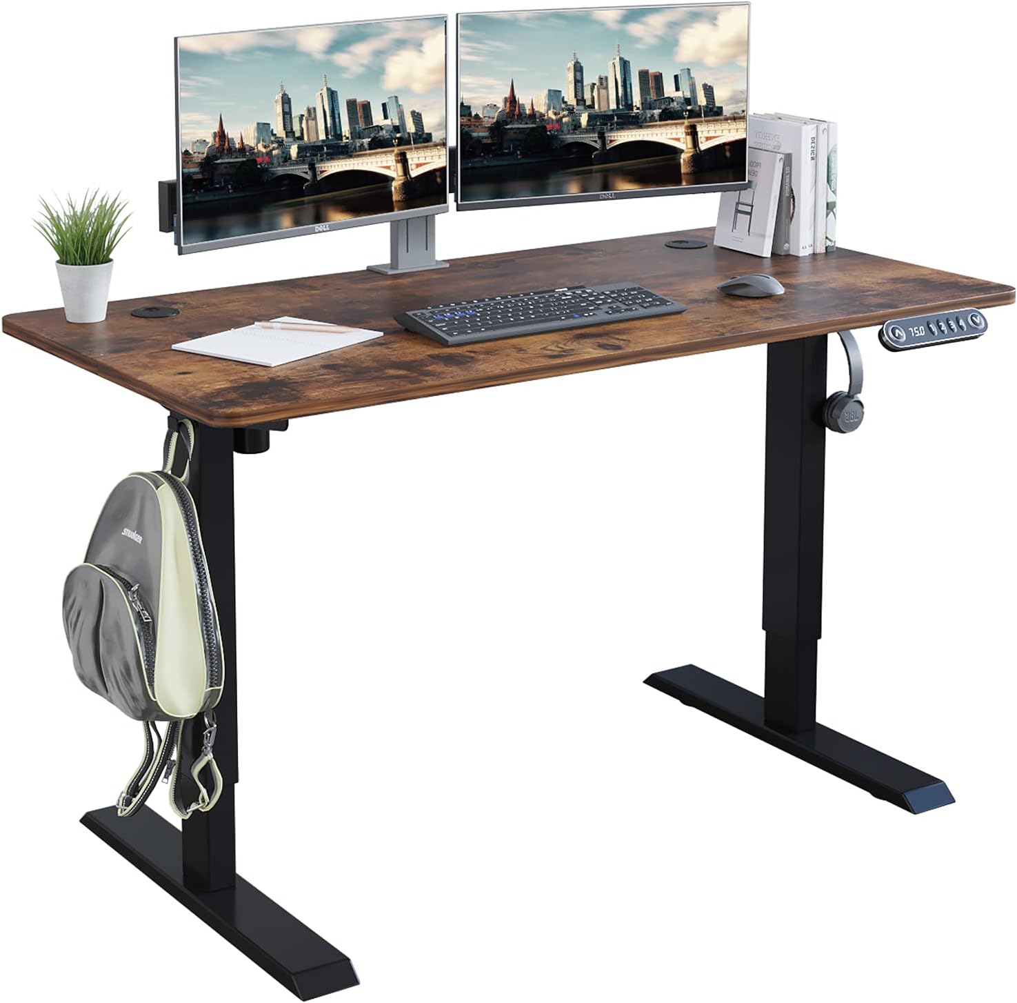 Radlove Electric Standing Desk 48 x 24 Inches for Home Office