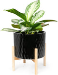 Ceramic Plant Pot with Stand 10 in - Modern Water Ripple Planter