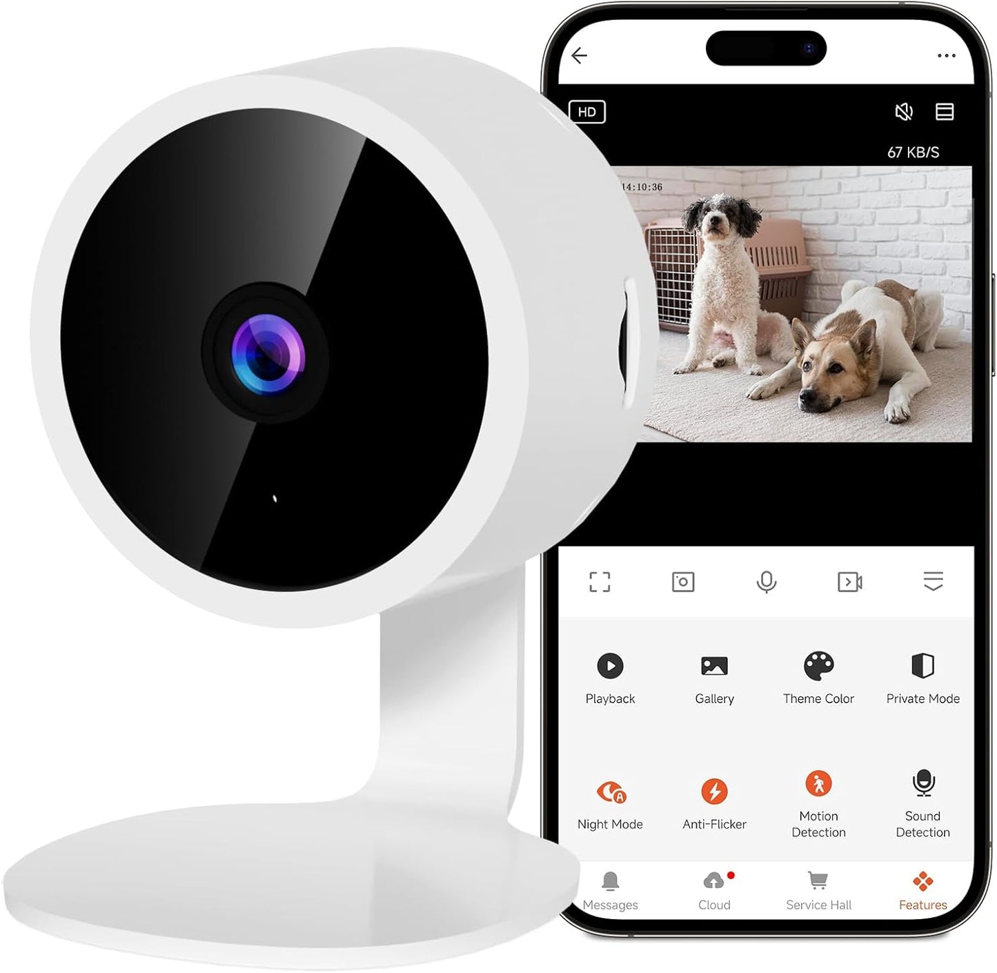2K WiFi Pet Cam: Night Vision, Motion Detection, 2-Way Audio