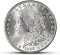 Antique U.S. Silver Coins - Morgan Dollar Collection for Collectors