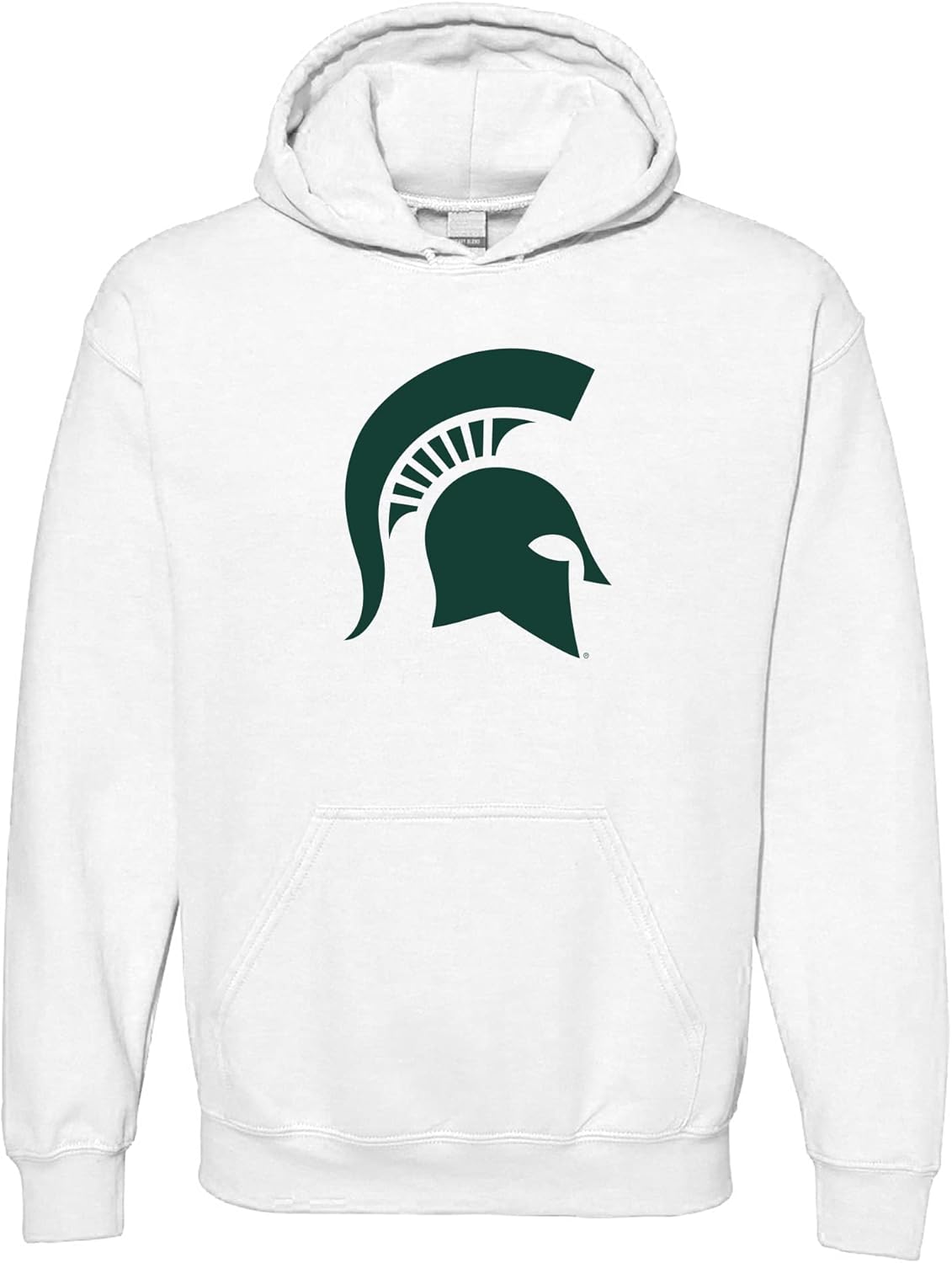 UGP Campus Apparel NCAA Primary Logo Hoodie for School Spirit