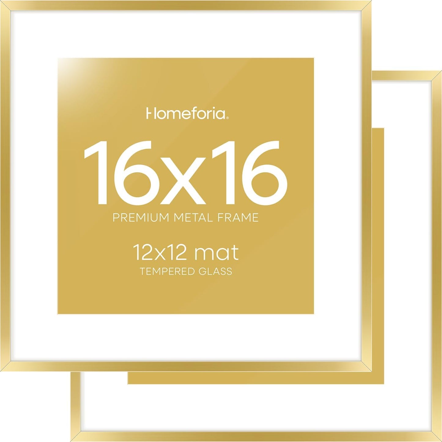16x16 Gold Picture Frame Set of 2 with Mat for Stunning Displays