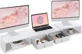 TEAMIX Dual Monitor Stand Riser for Adjustable Workspace Comfort