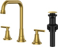 FORIOUS 3 Hole 8 in Widespread Bathroom Faucet in Brushed Gold