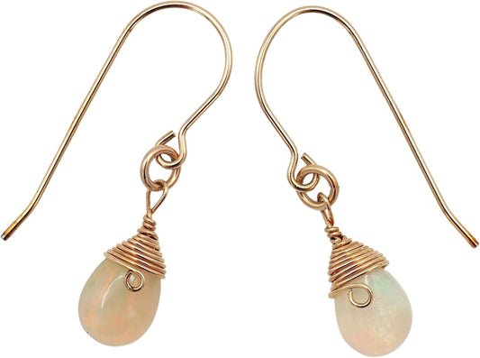 Women's Birthstone Crystal Drop Earrings with Gold Filled Design
