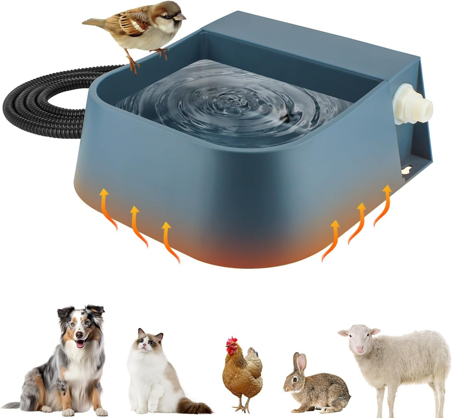 NAMSAN Automatic Water Dispenser for Dogs with Heater 2L
