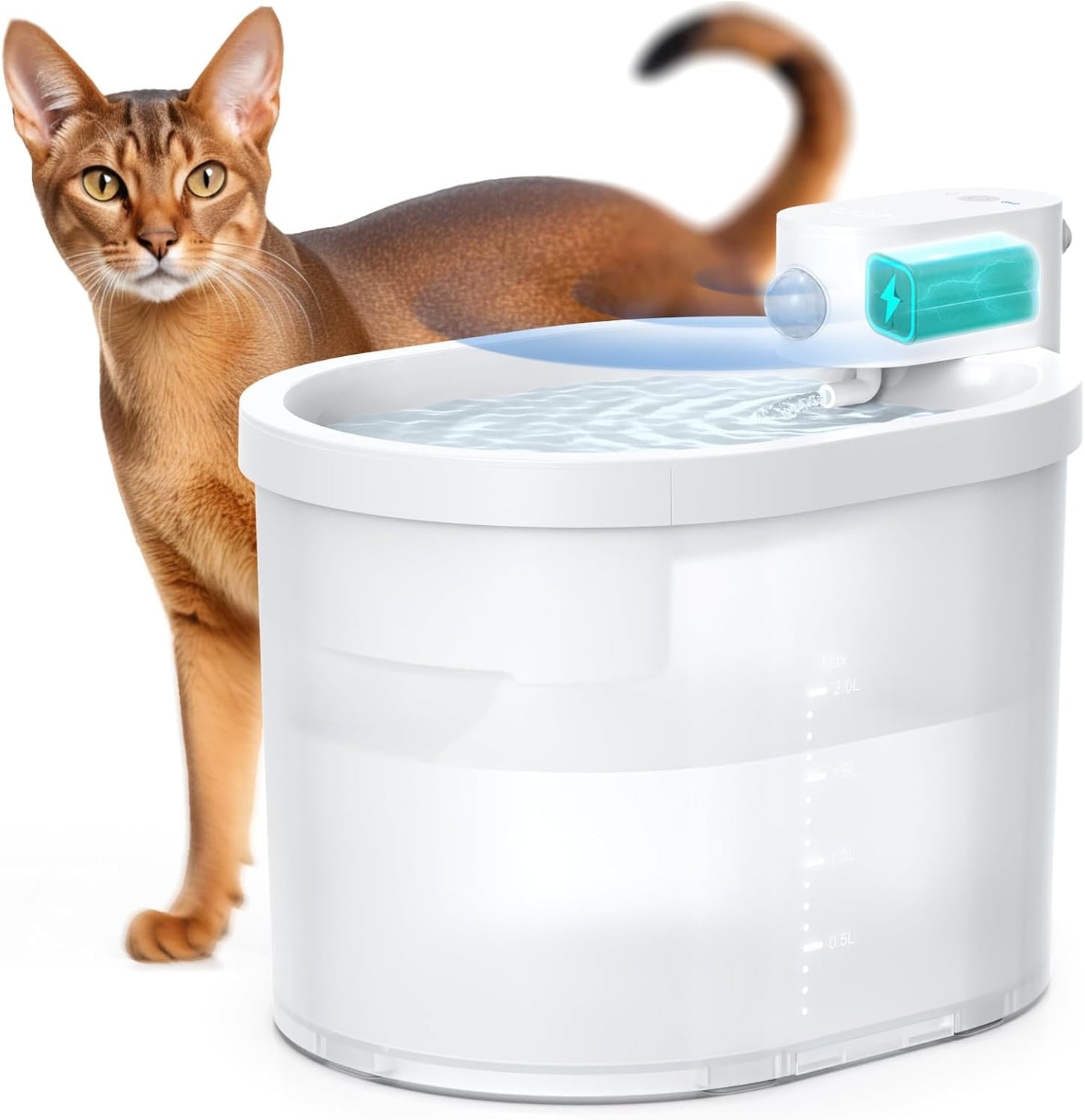 Wireless Cat Water Fountain for Fresh Hydration Anywhere