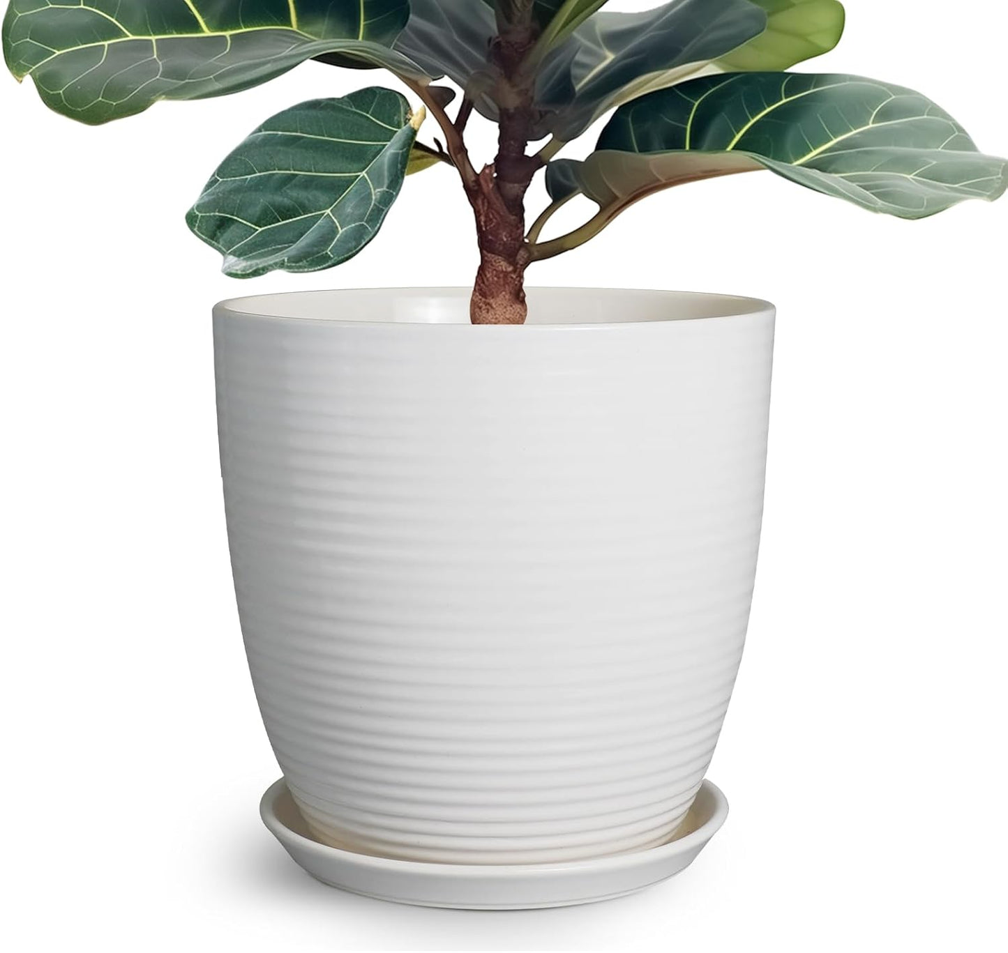 12 Inch Ceramic Planter Pot by EPFamily for Indoor Plants