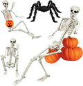 Life Size 5.4ft Halloween Skeleton with Spider and Pumpkin - Realistic