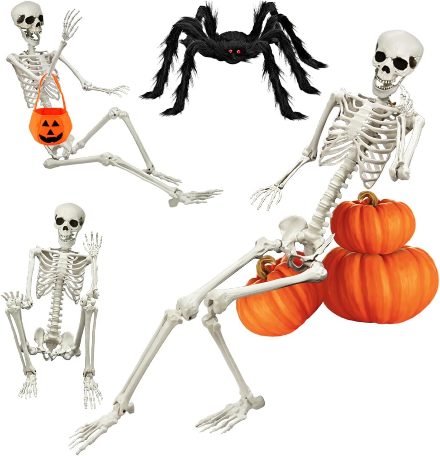 5.4FT Halloween Life Skeleton with Spider for Spooky Decor