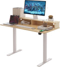 2-Tier Height Adjustable 45in Electric Standing Desk - Sturdy Home