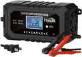 15A LiFePO4 Battery Charger 12V/24V - Smart Trickle Maintainer