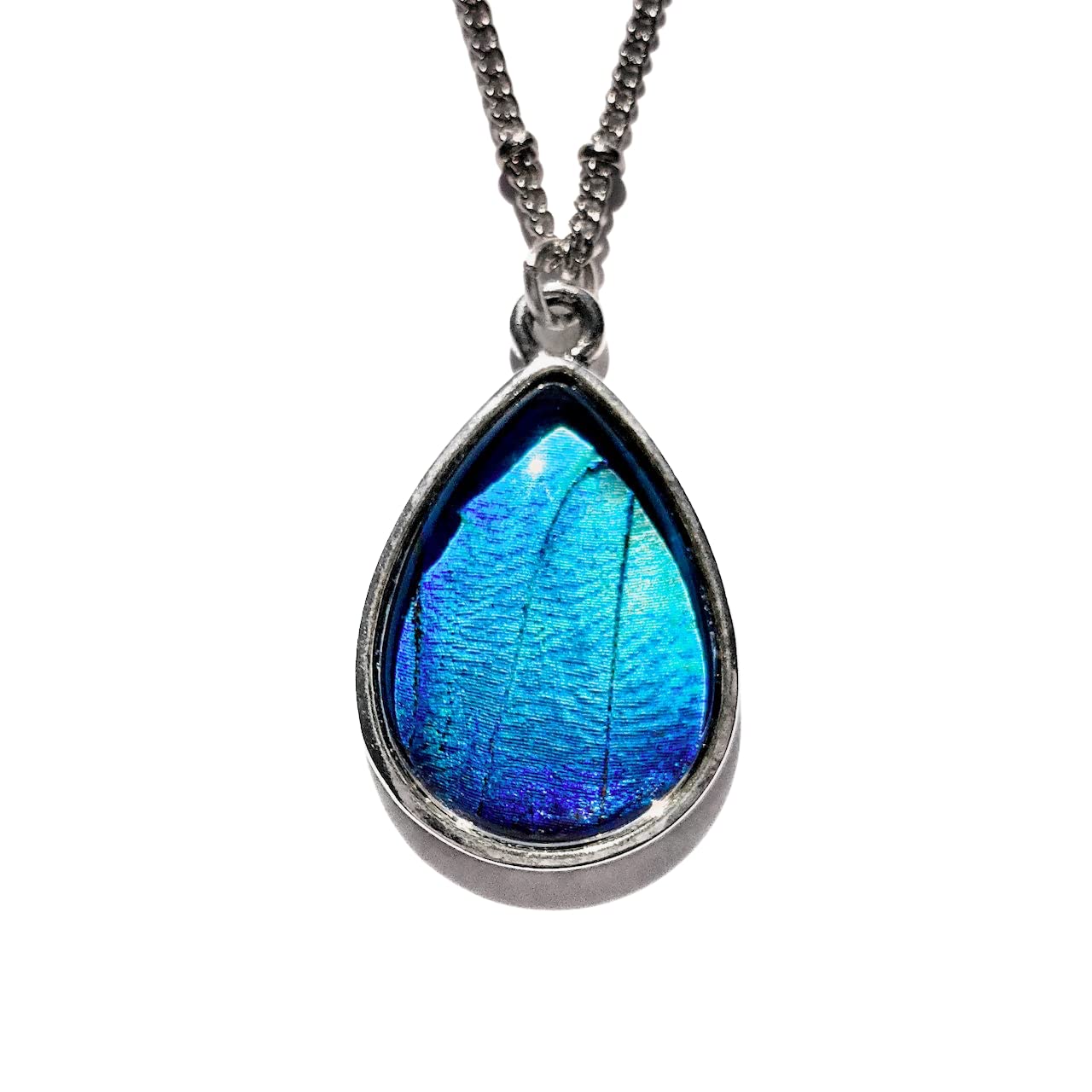 Real Blue Morpho Butterfly Necklace in Glass Terrarium Jewelry