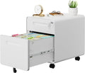 2 Drawer File Cabinet with Lock and Keys - Mobile Metal Filing Cabinet