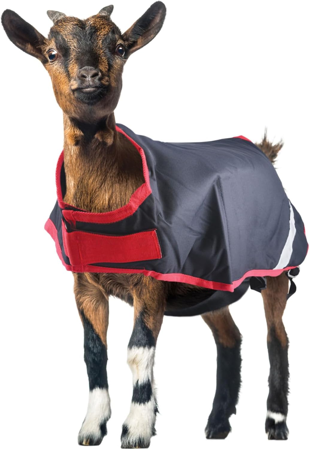 Horseware Goat Coat 100g Light with Adjustable Closures