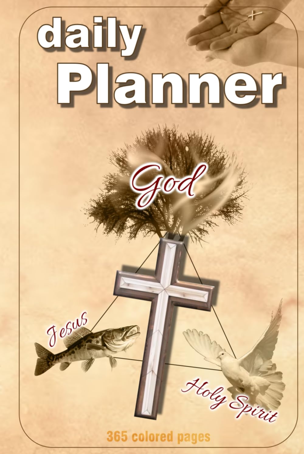 Daily Planner for 1 Year - 365 Colored Pages for Organization