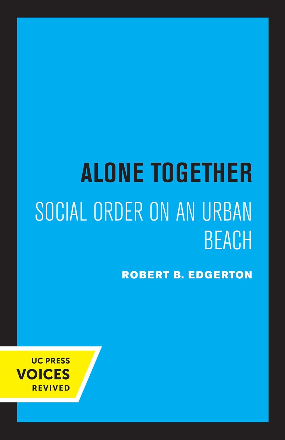 Alone Together: Social Order on an Urban Beach - A Deep Dive