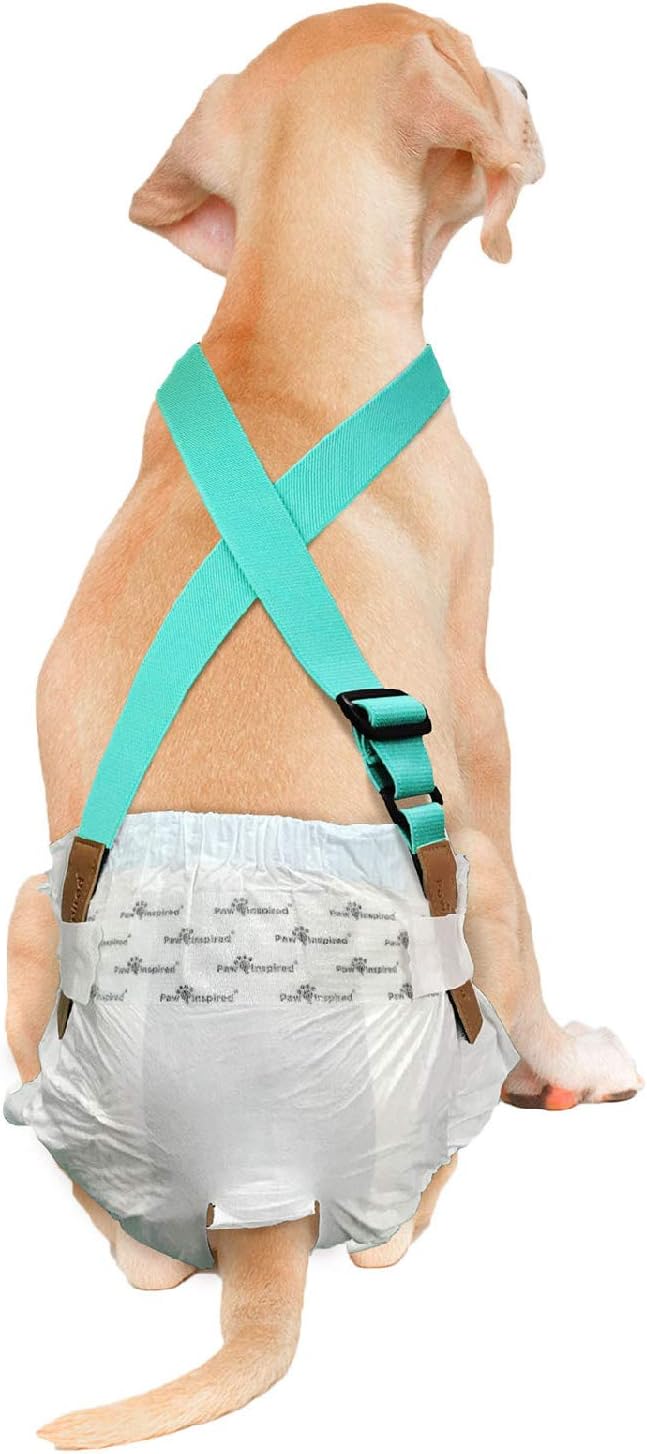 Paw Inspired Dog Diaper Suspenders - Adjustable Support