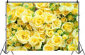 Graceful Yellow Rose Flower Photography Backdrop 10x8 ft - Wedding