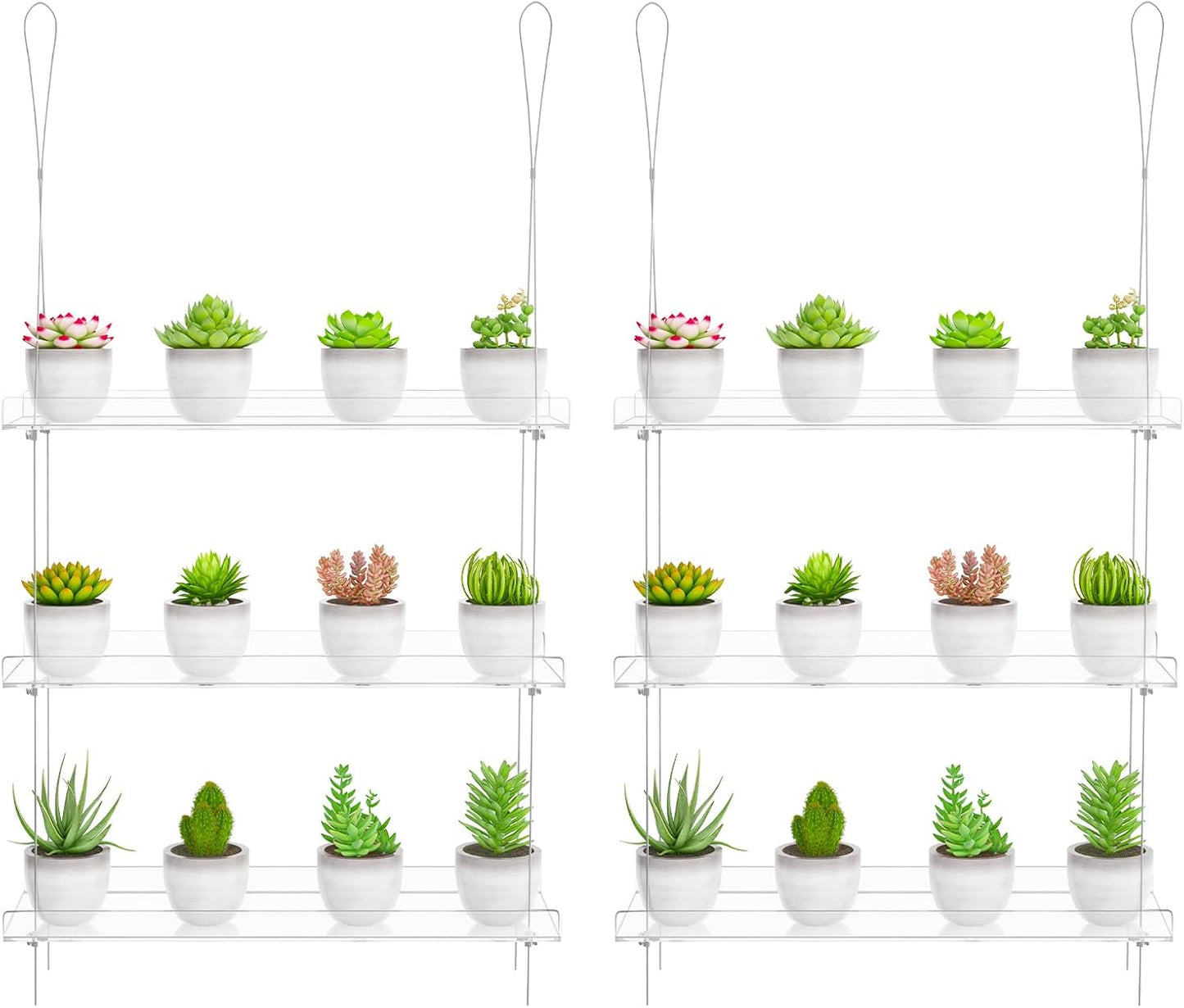 Clear Hanging Window Plant Shelves for Indoor Flower Display