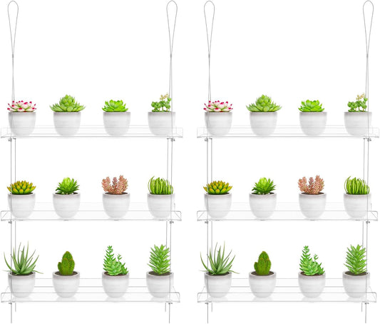 Clear Hanging Window Plant Shelves for Indoor Flower Display