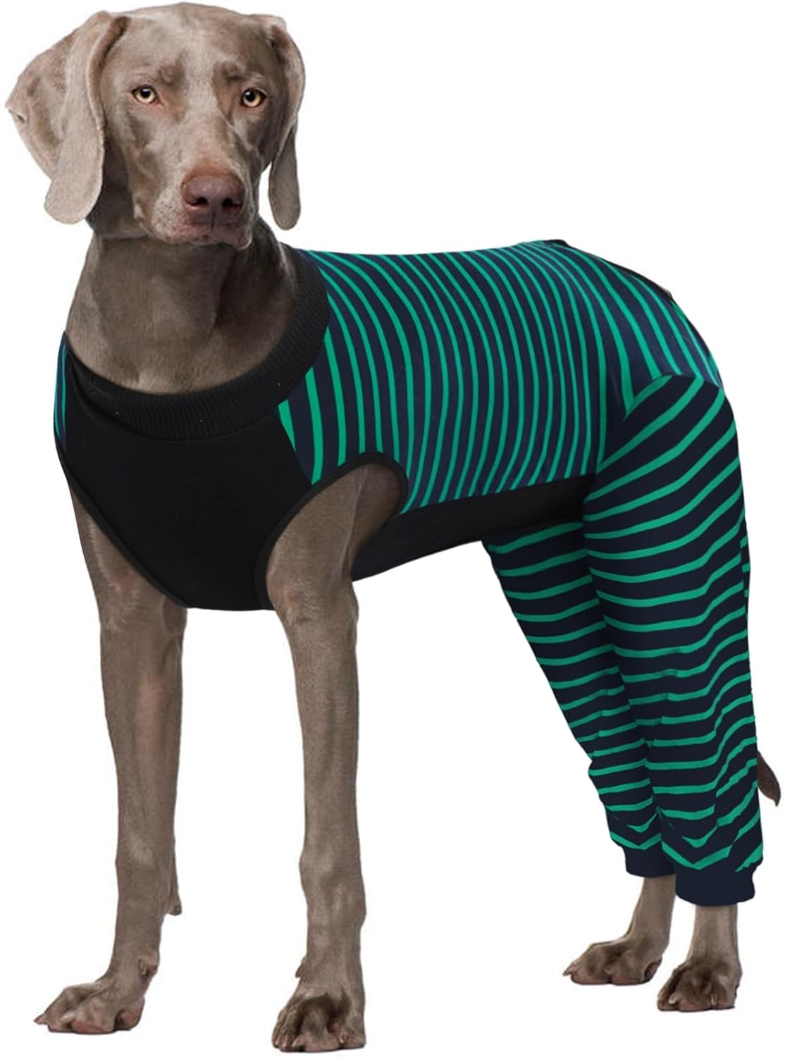 Kuoser Dog Recovery Suit for Comfort and Protection in Green