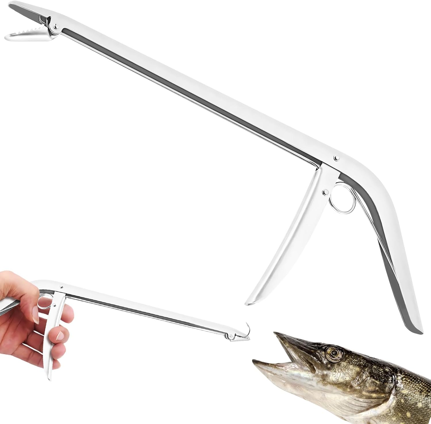 Quickly Unhook Fish with this Stainless Dehooker!