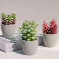 Realistic Faux Succulents 3 Pack in Pots - Low Maintenance Desk Decor