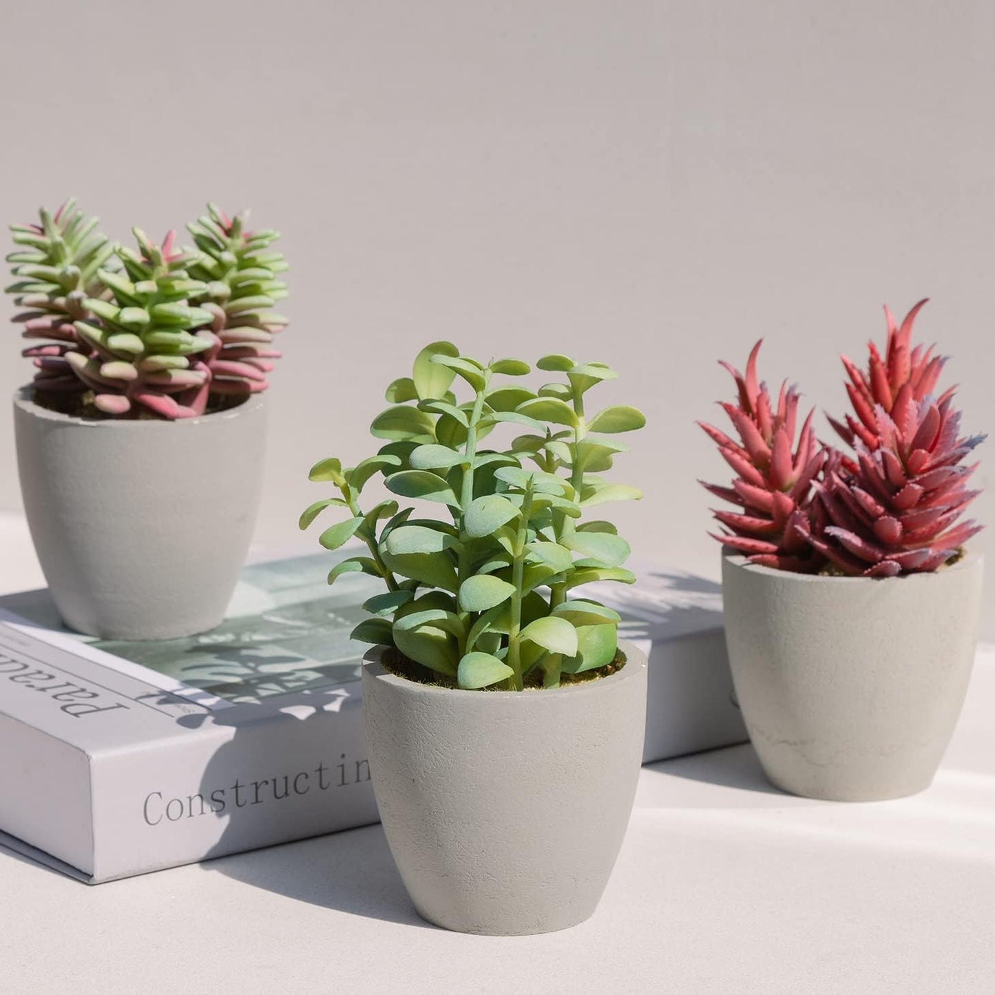 Mingfuxin 3 Pack Realistic Faux Succulents: Vibrant Desk Decor