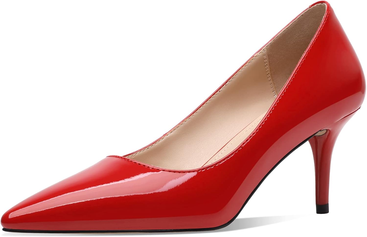 Stunning 2.6 Inch Stiletto Pointed Toe Pumps for Any Occasion