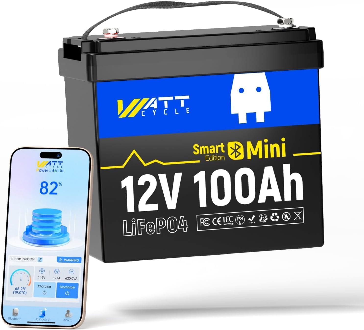 12V 100Ah LiFePO4 Lithium Battery with Bluetooth for RV Use