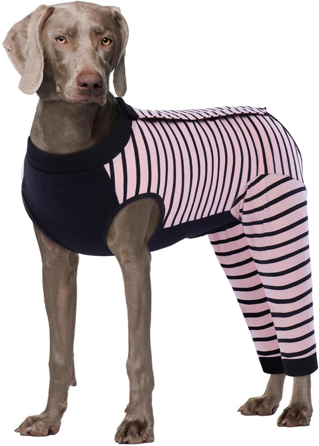 Kuoser Dog Recovery Suit for Post-Surgery Comfort and Care