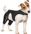 Double Leg Dog Knee Brace for ACL Tear Recovery and Support